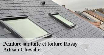 Peinture sur tuile et toiture  rosay-78790 Artisan Chevalier