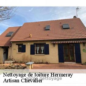 Nettoyage de toiture  hermeray-78125 Artisan Chevalier