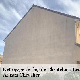 Nettoyage de façade  chanteloup-les-vignes-78570 Artisan Chevalier