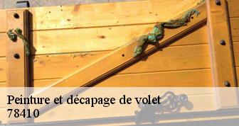 Peinture et décapage de volet  78410