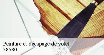 Peinture et décapage de volet  78580