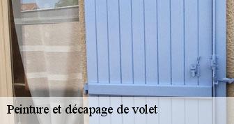 Peinture et décapage de volet  78280